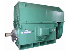 YKK6302-4Y系列6KV高压电机